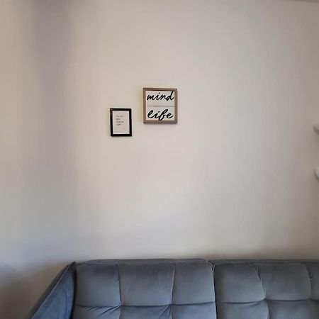 Exklusive Gartenwohnung 维也纳 外观 照片