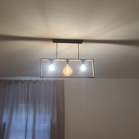 Exklusive Gartenwohnung 维也纳 外观 照片